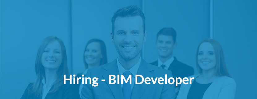 hiring BIM developer